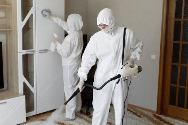24/7 Emergency Odor Removal experts in Cashion, AZ