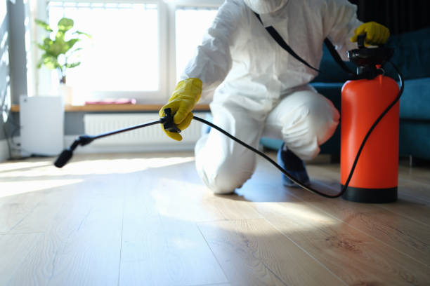 Reliable Odor Removal contractor in Cashion, AZ by Dulley Family Biohazard Services